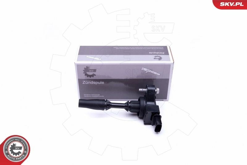 Ignition Coil